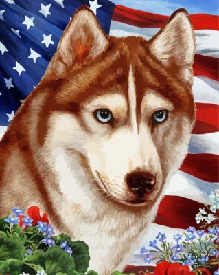 Siberian Husky Paint By Numbers 