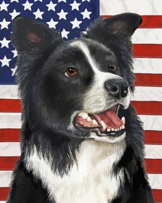 Patriotic Border Collie Paint By Numbers 