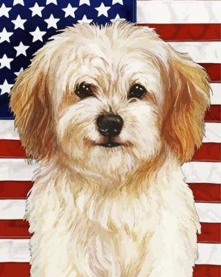Patriotic Cavachon Paint By Numbers 