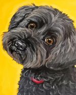 Black Cockapoo Art Paint By Numbers