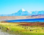 Kailash Mansarovar Landscape Paint By Numbers