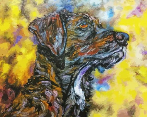 Plott Hound Art Paint By Numbers 