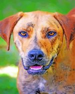 Plott Hound Dog Paint By Numbers