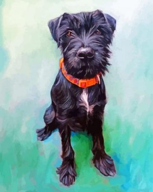 Black Cockapoo Dog Paint By Numbers
