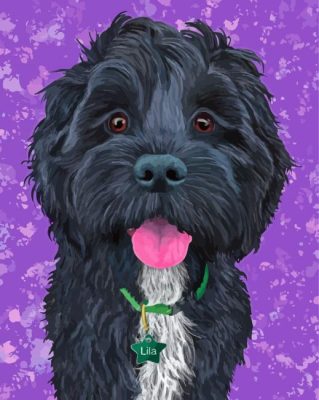 Black Cockapoo Art Paint By Numbers 