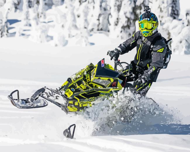 Cool Snowmobiling Paint By Numbers