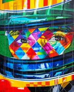 Eduardo Kobra Ayrton Senna Paint By Numbers