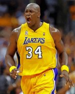Shaquille ONeal Paint By Numbers art
