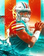 Miami Dolphins Paint By Numbers