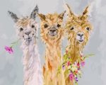 Cute Alpacas Paint By Numbers art