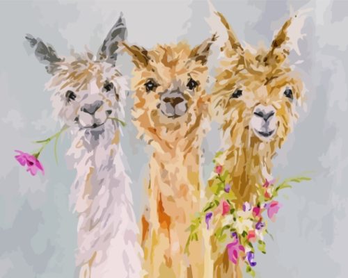 Cute Alpacas Paint By Numbers art