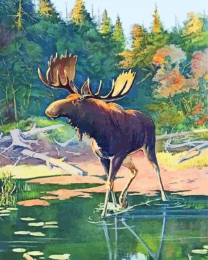 Beautiful Moose Paint By Number
