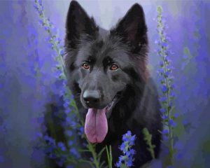 Black German Shepherd Paint By Number