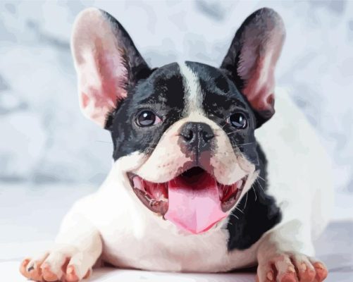 Happy French Bulldog Paint By Numbers 