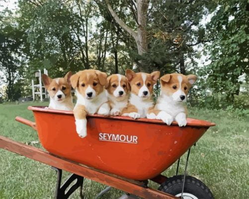 Aesthetic Baby Corgis painting by numbers