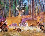 Deer And Turkey Animals Paint By Number