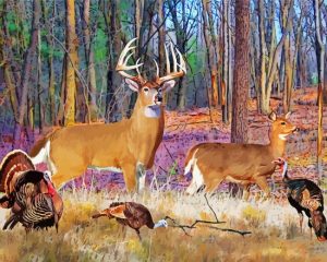 Deer And Turkey Animals Paint By Number