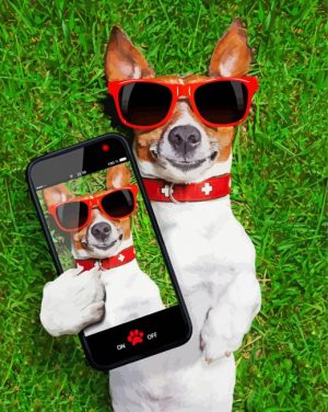 Dog Taking Selfie Canada Paint By Number