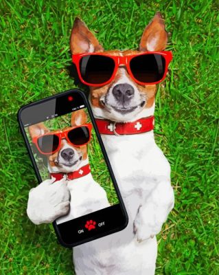 Dog Taking Selfie Canada Paint By Number
