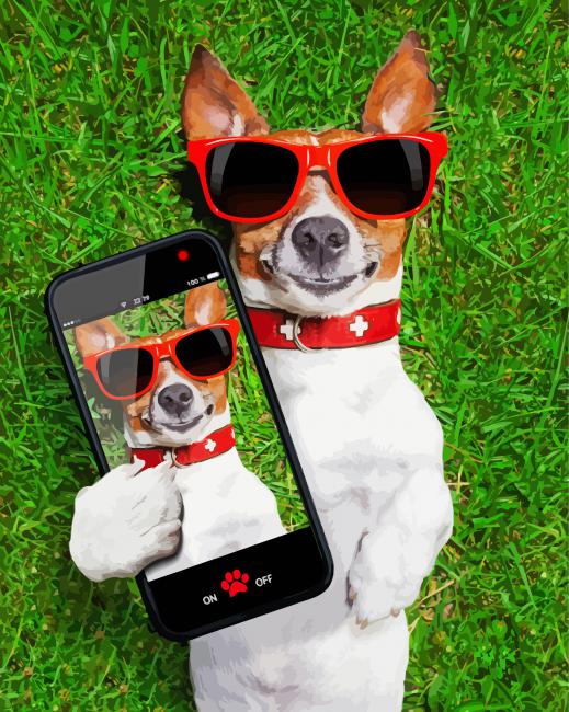 Dog Taking Selfie Canada Paint By Number