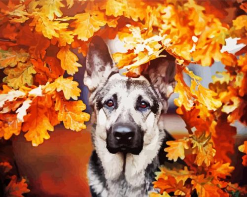 German Shepherd Fall Paint By Number