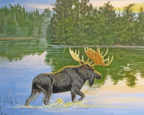 Moose In Lake Paint By Number