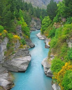 Shotover Jet Queenstown New Zealand Paint By Number