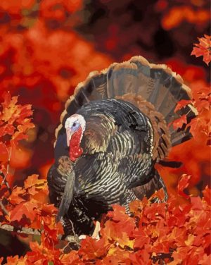 Turkey In Fall Paint By Numbers