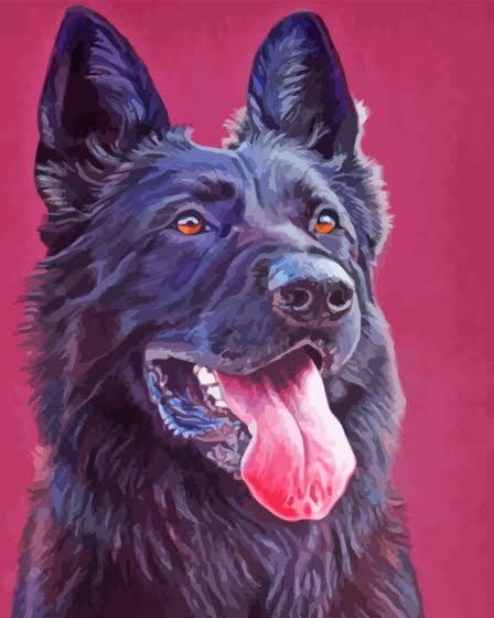 Black Shepherd Paint By Number