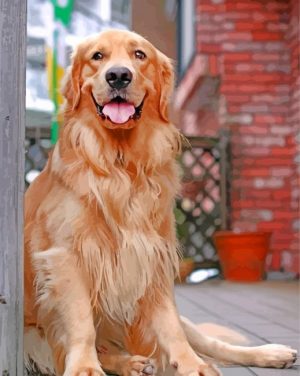 Aesthetic Golden Retriever Paint By Number