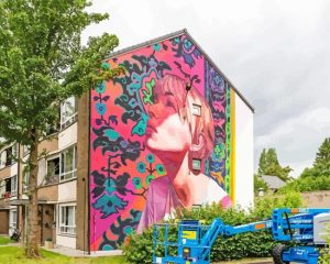 Banksy Art Paint By Number