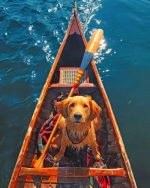 Golden Retriever In Boat Paint By Number