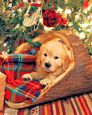 Golden Retriever In Christmas Paint By Number