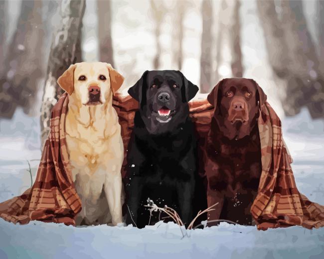 Golden Retrievers In Snow Paint By Number