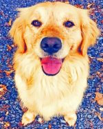Golden Retriever Animal Paint By Number