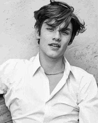 Monochrome Lorenzo Berkshire Paint By Number