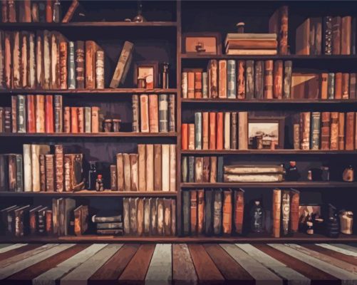 Old Library Bokshelf Paint By Numbers 