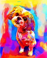 Abstract Colorful Shih Tzu Paint By Number