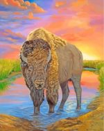 American Bison Paint By Numbers