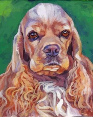 American Cocker Spaniel Paint By Numbers