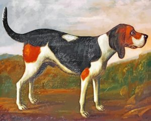 Beagle Dog Art Paint By Number