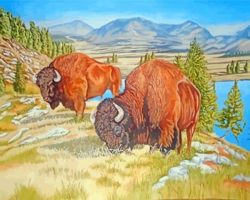 Bisons Grazing Paint By Numbers