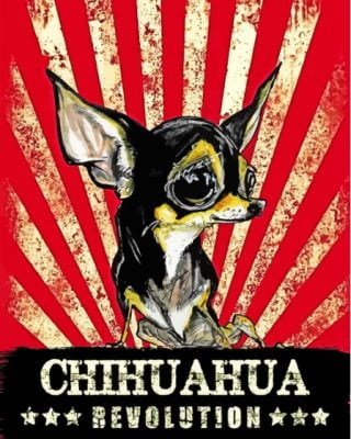 Black Chihuahua Illustration Paint By Number