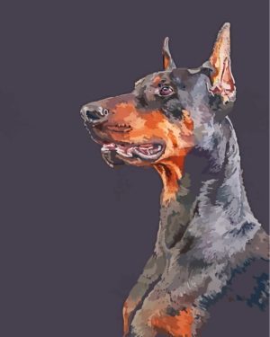 Black Doberman Paint By Number