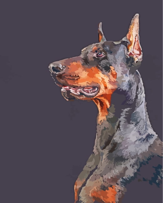 Black Doberman Paint By Number