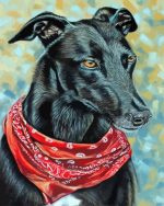 Black Greyhound Dog Paint By Number