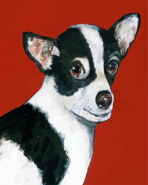 Black White Chihuahua Paint By Number