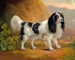 Black And White Spaniel Vintage Paint By Number
