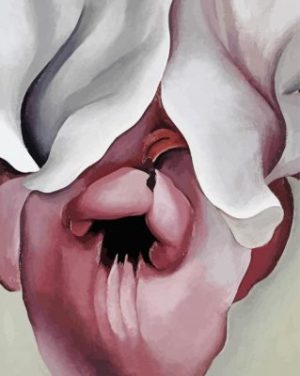 Black Iris Okeeffe Paint By Numbers