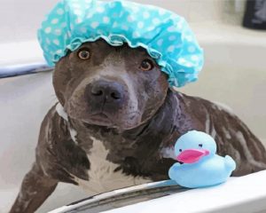 Staffordshire Bathing Paint By Number